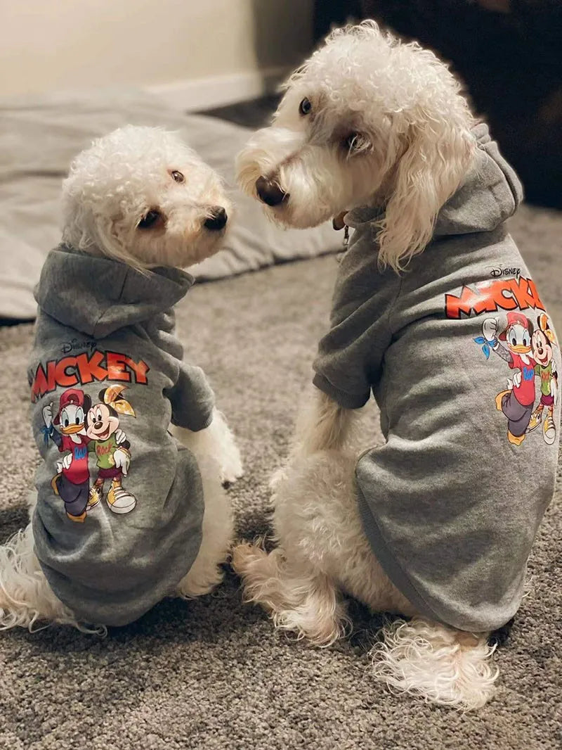 Disney Sweatshirt/ Hoodie