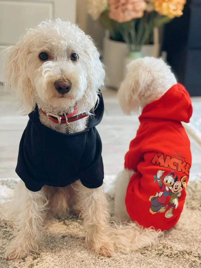 Disney Sweatshirt/ Hoodie