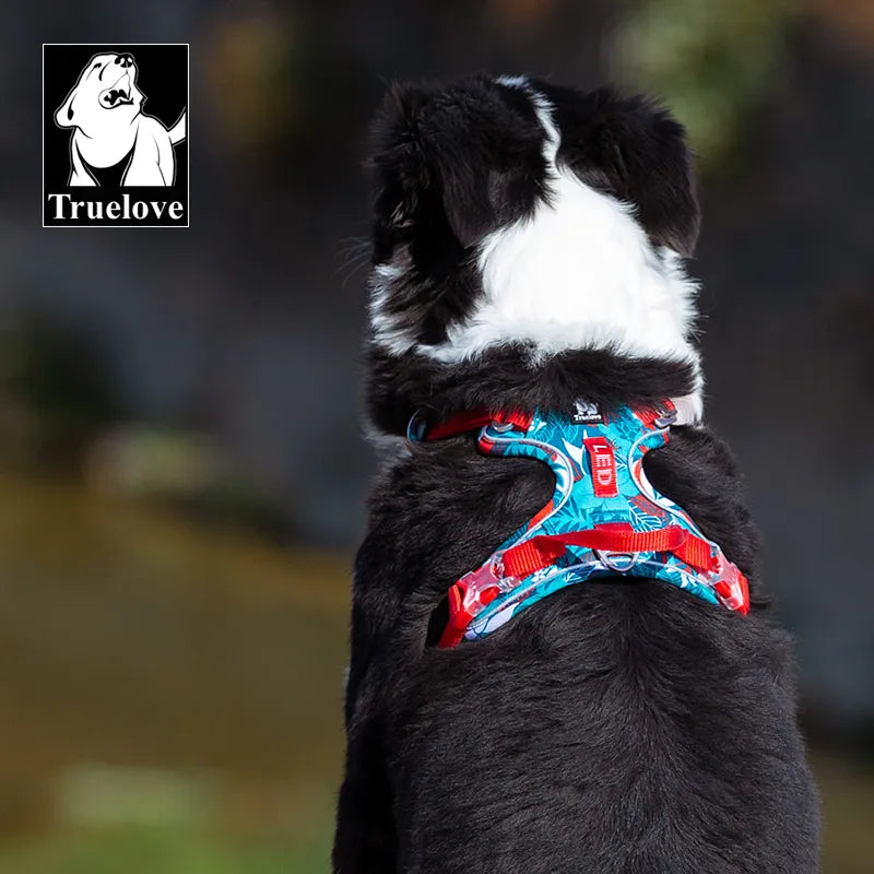 Truelove Pet Dog Harness