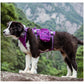 TRUELOVE Pet Harness Bag High Tactical Training Military Backpack