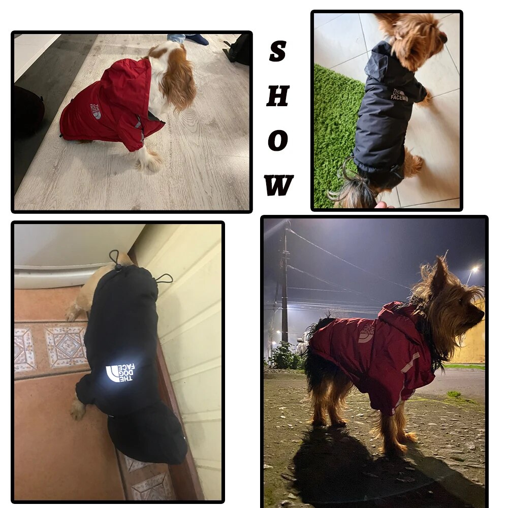 The Dog Face Reflective Jacket