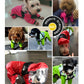 The Dog Face Rain Coat