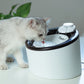 Truelove Pet Water Fountain