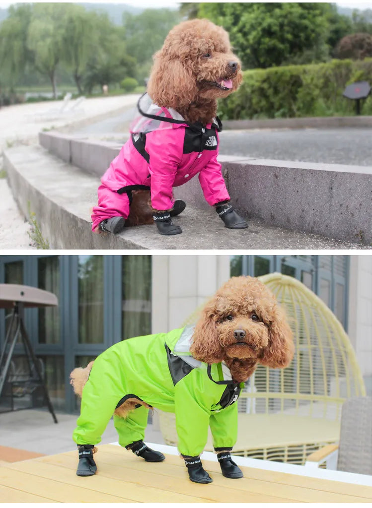 Dog best sale face coat