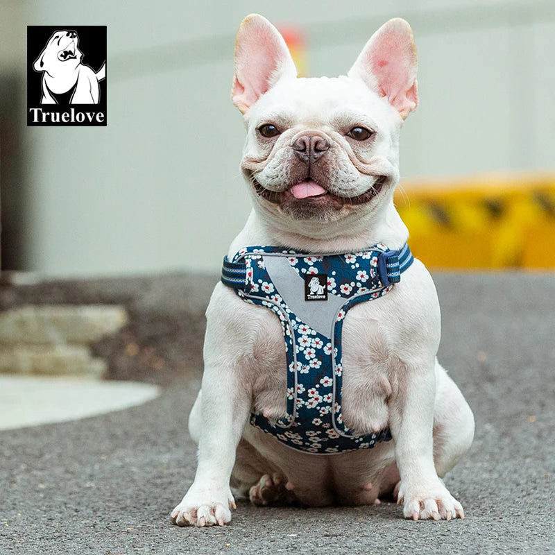 Truelove Floral Doggy Harness