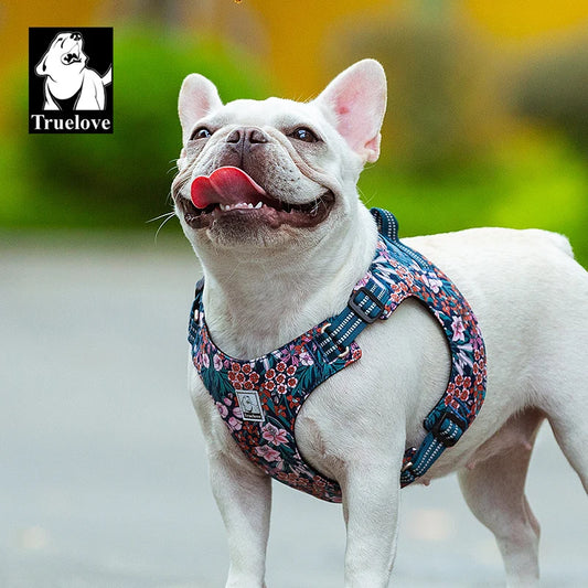 Truelove Floral Dog Harness