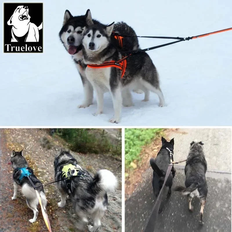 Truelove Reflective Nylon Double Dog Leash