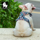 Truelove Floral Pet Harness