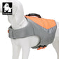 Truelove Dog Swimming Life Jacket