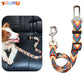 Dog Car Seat Belt