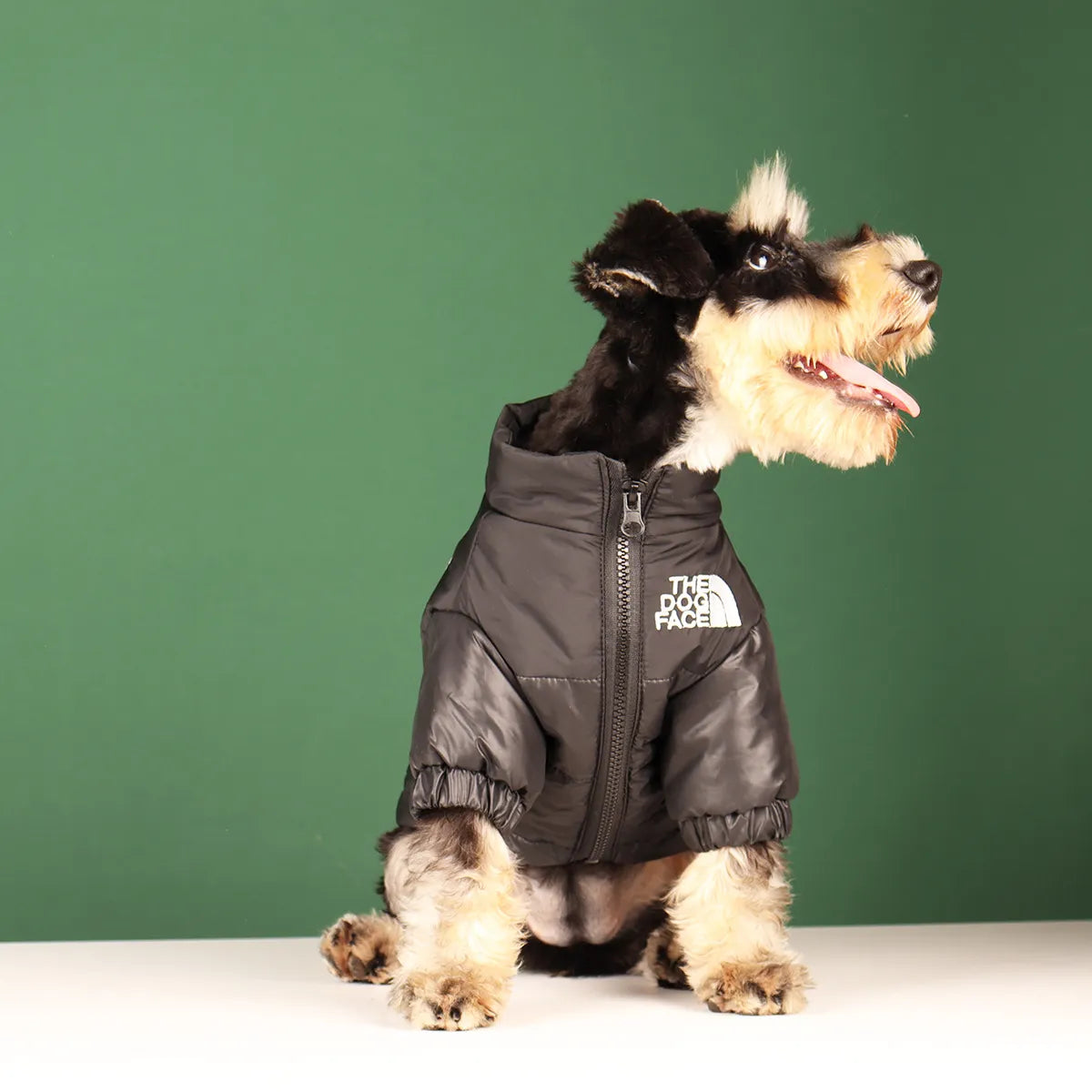 The Dog Face Winter Jacket