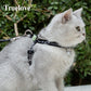 Truelove Pet Cat  Harness and Leash Set