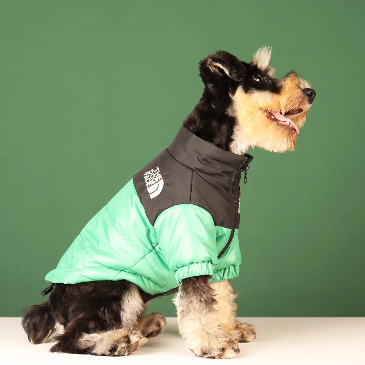 The Dog Face Winter Jacket