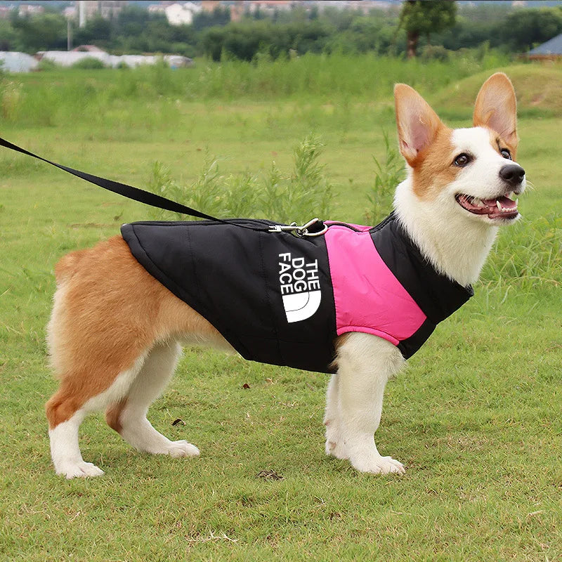 The Dog Face Padded Waterproof Vest