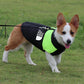 The Dog Face Padded Waterproof Vest