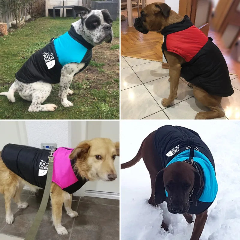 The Dog Face Padded Waterproof Vest