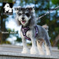 Truelove Floral Mesh Pet Harness & Leash Set