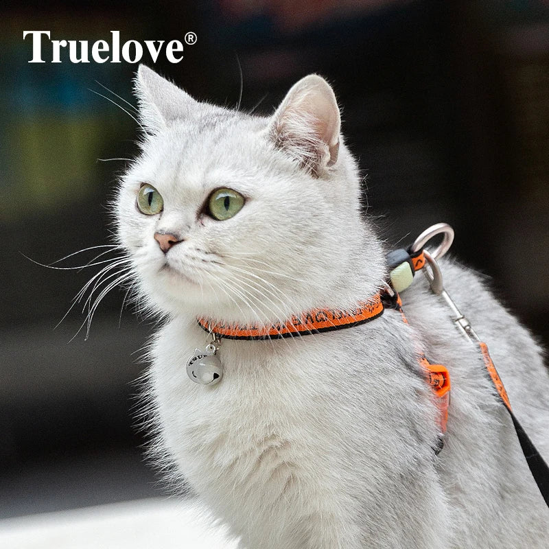 Truelove Pet Cat  Harness and Leash Set