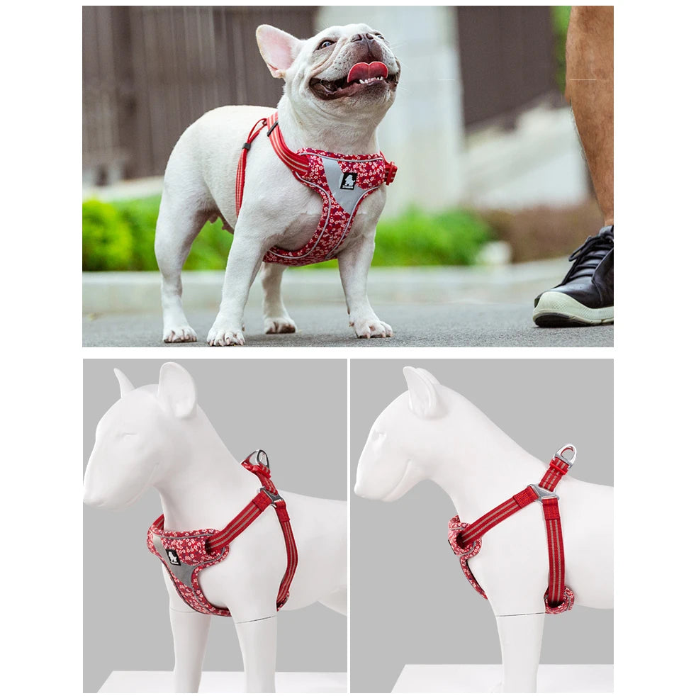 Truelove Floral Doggy Harness