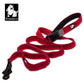 Truelove Dog Running Bungee Leash