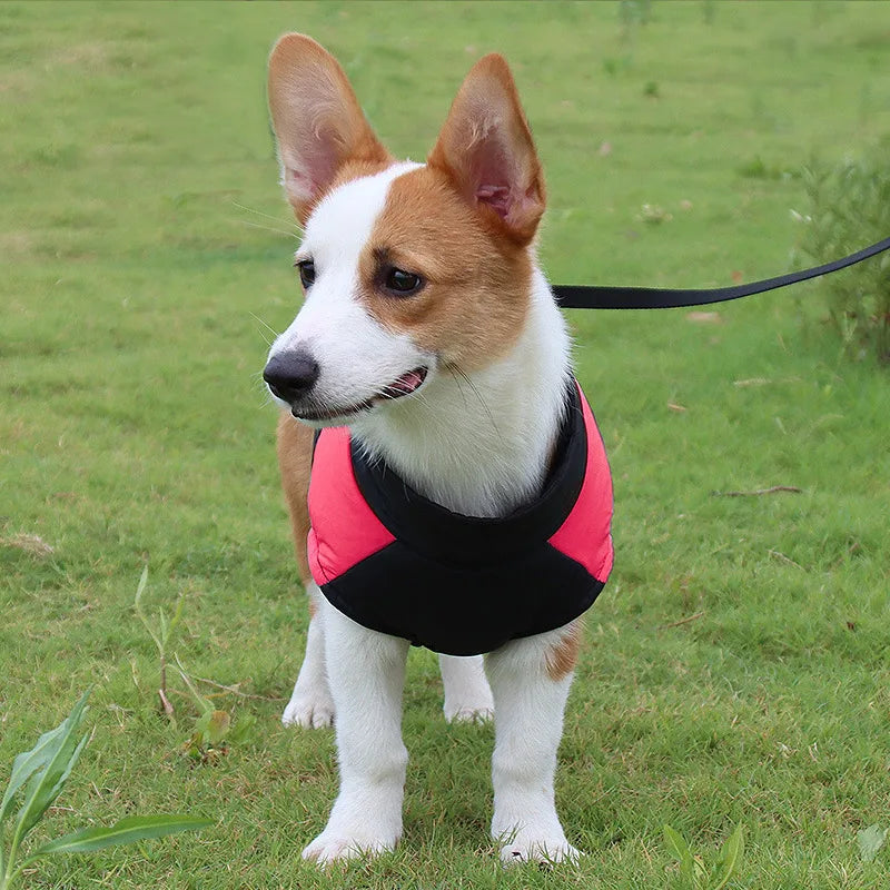 The Dog Face Padded Waterproof Vest