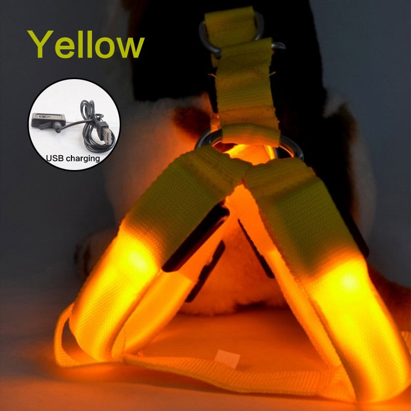 GlowGuard Harness