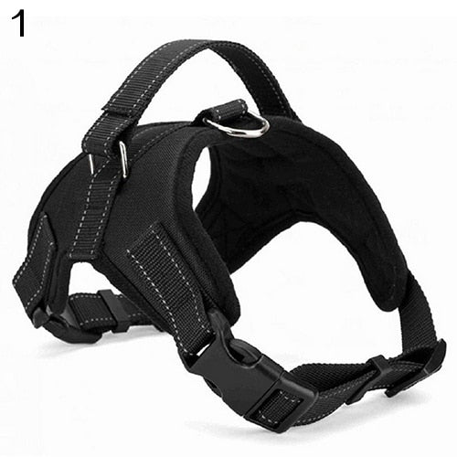 Adjustable Walk Out Harness