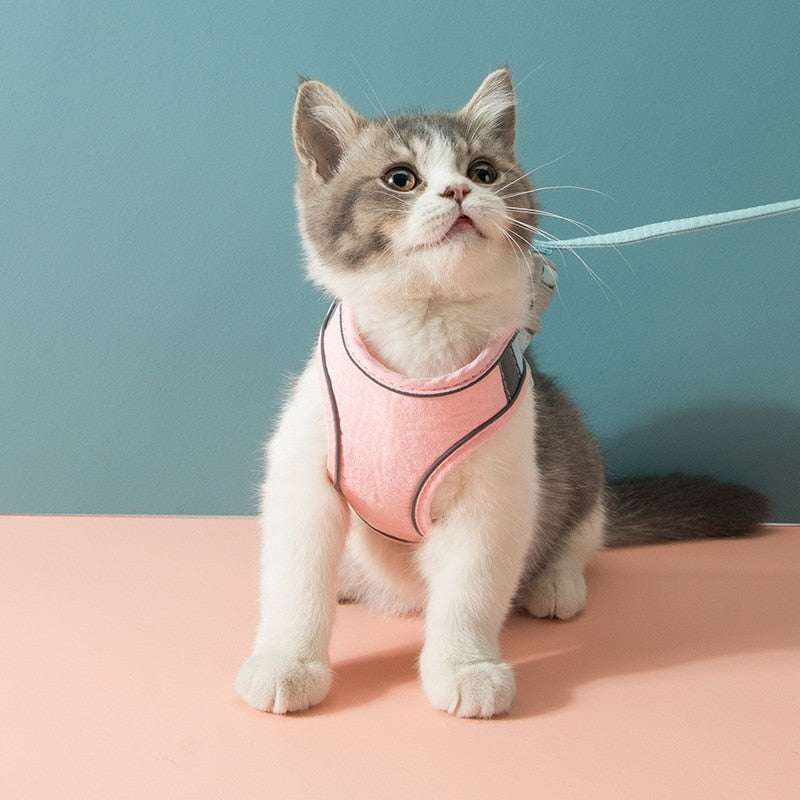 Purrfect Paws Cat Harness