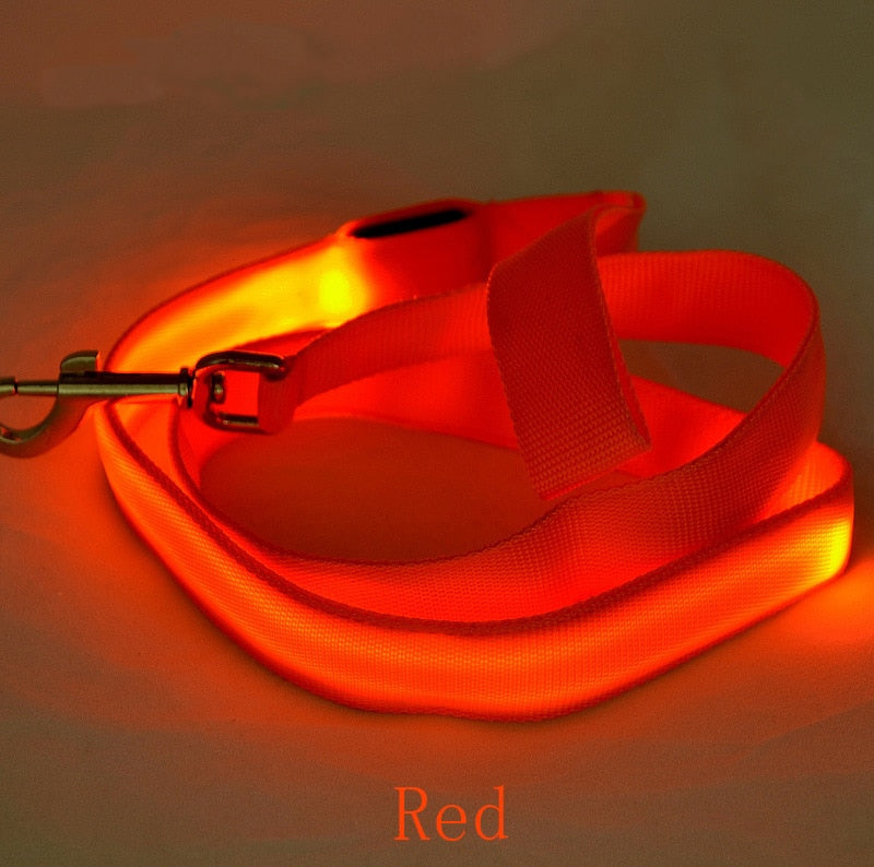 LED Light Pet Leash