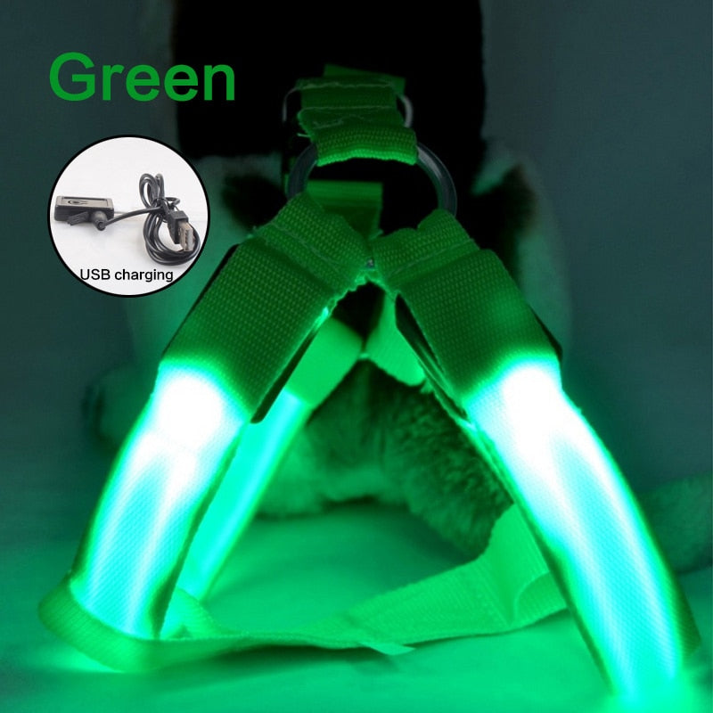 GlowGuard Harness