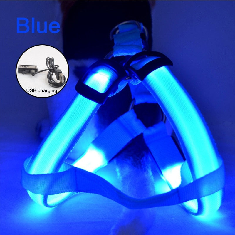 GlowGuard Harness