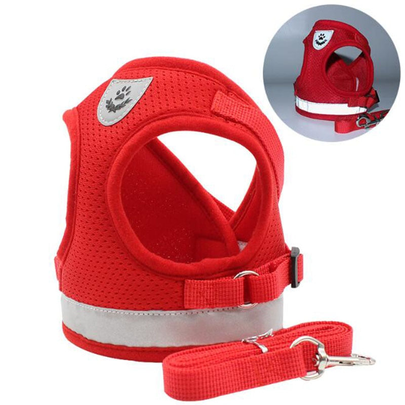 Mesh Comfort Dog Harness