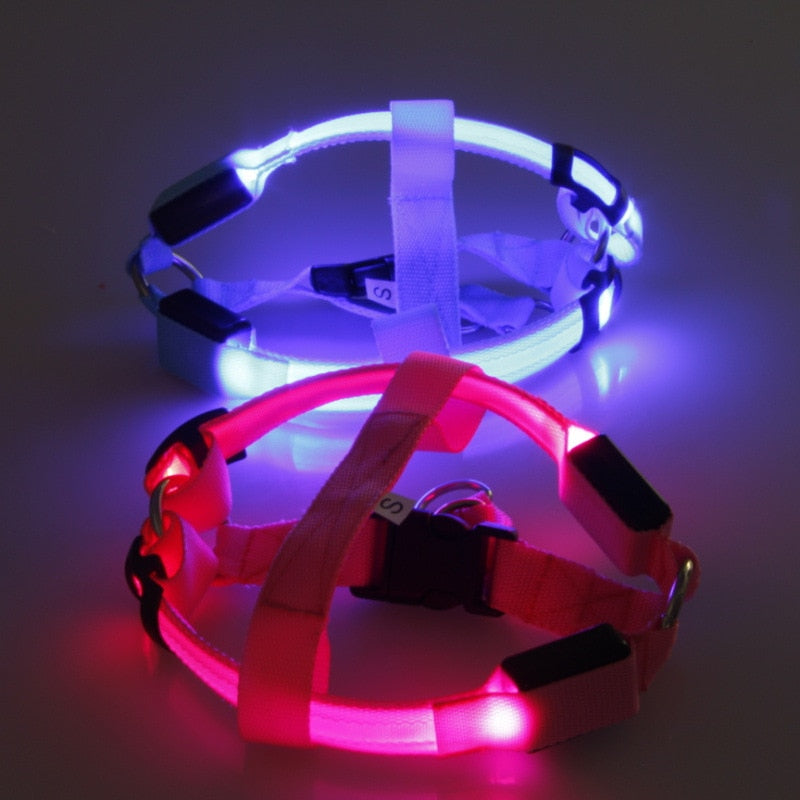 GlowGuard Harness