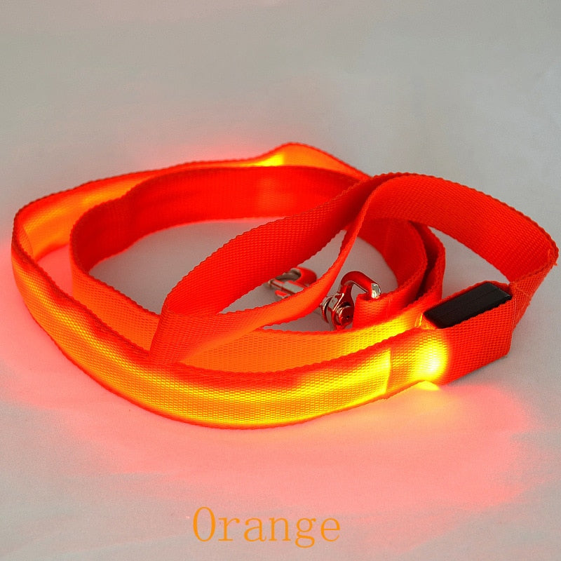 LED Light Pet Leash