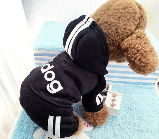 Dog Hoodie