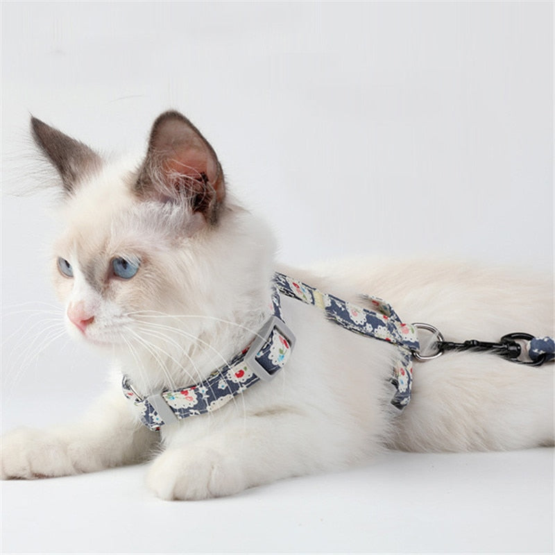 Kawaii Kitty Cat Harness