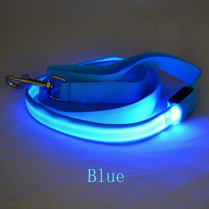 LED Light Pet Leash