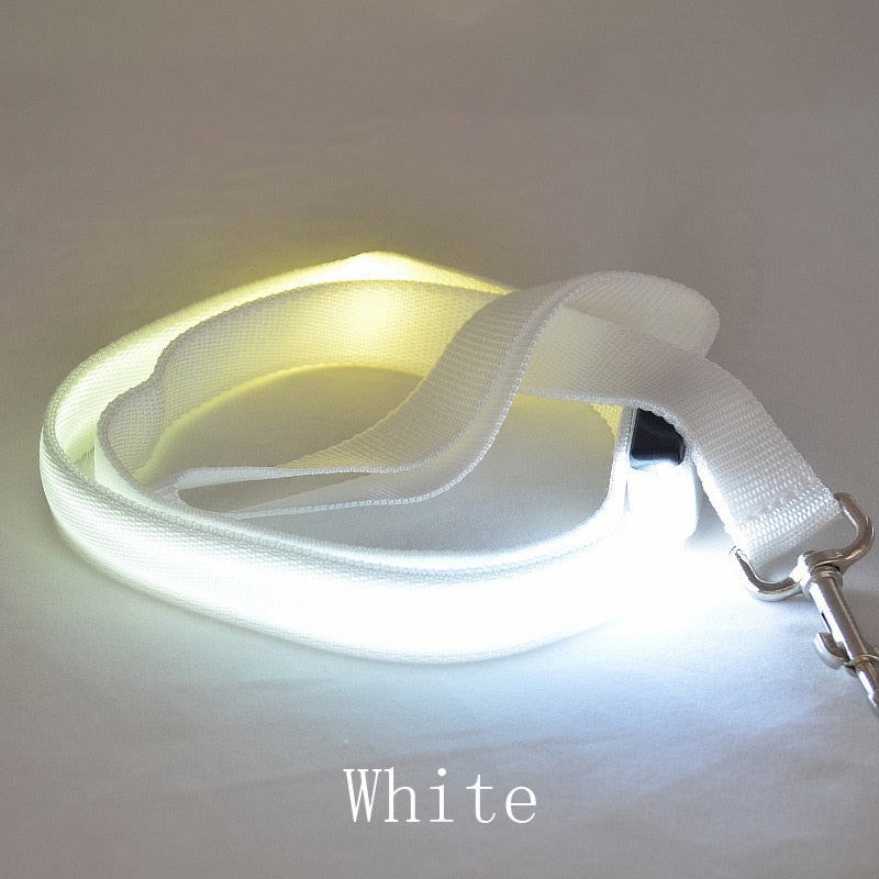 LED Light Pet Leash