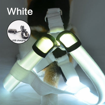 GlowGuard Harness