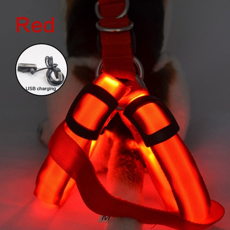 GlowGuard Harness