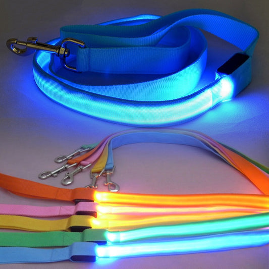 LED Light Pet Leash