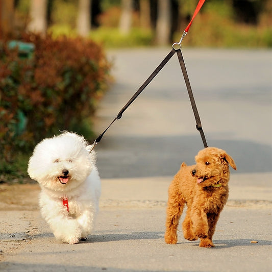 TwinLeash: Double Walking Leash