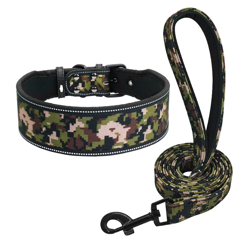 Reflective Padded Nylon Dog Collar