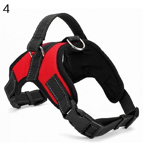 Adjustable Walk Out Harness