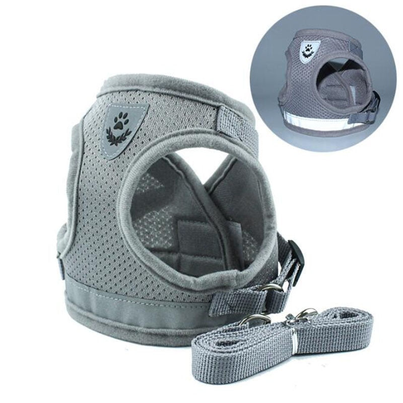 Mesh Comfort Dog Harness