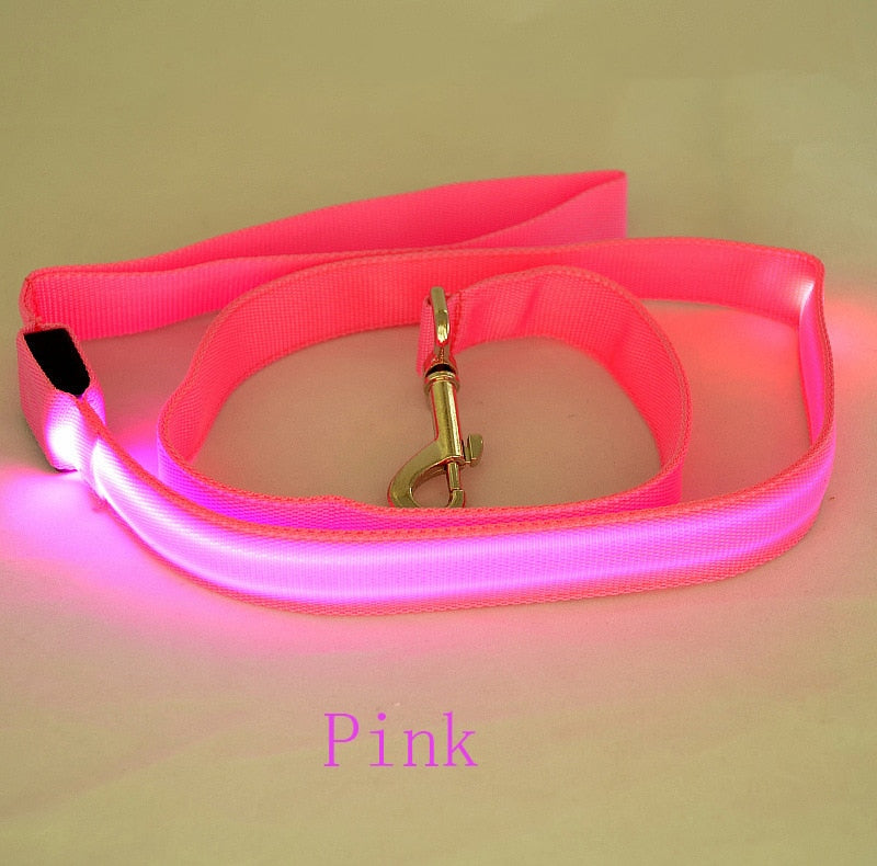 LED Light Pet Leash