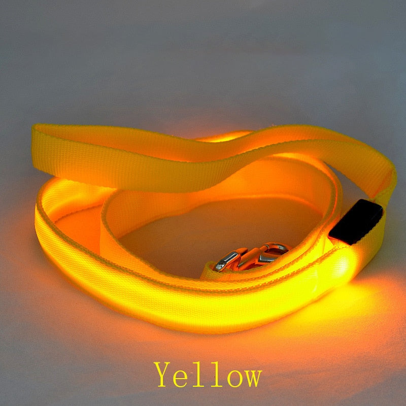 LED Light Pet Leash