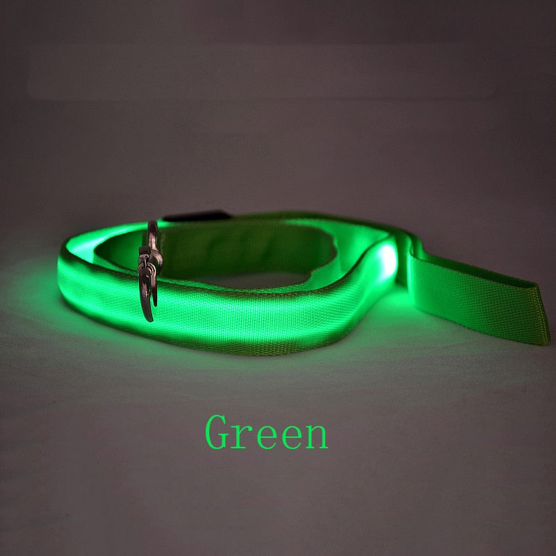 LED Light Pet Leash