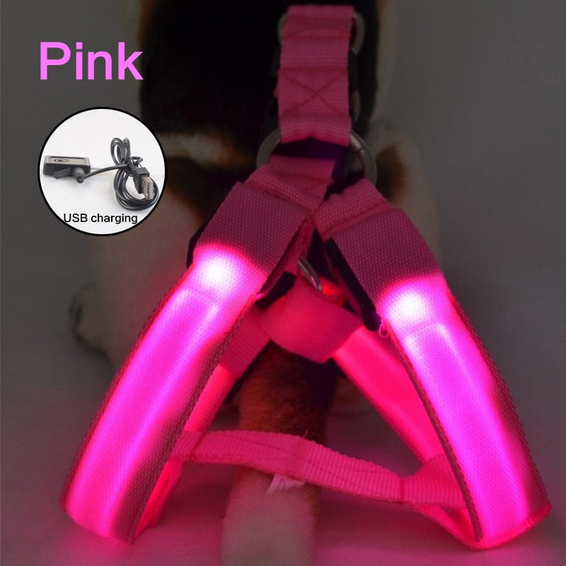 GlowGuard Harness