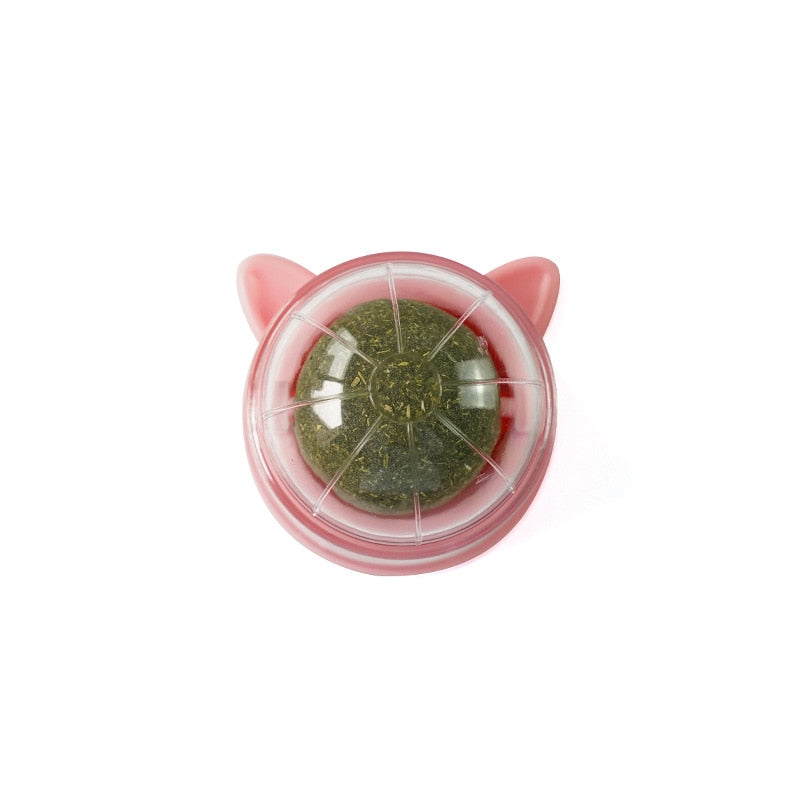 Purrfect Catnip Treat Ball